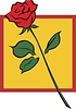 Vector clipart: red rose