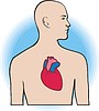 Vector clipart: heart