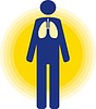 Vector clipart: lungs