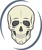 Vector clipart: skull