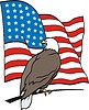 Vector clipart: american eagle