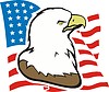 Vector clipart: american eagle