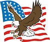 American eagle