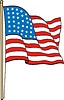 Векторный клипарт: флаг США