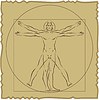 Vector clipart: Leonardo da Vinci Vitruvian Man