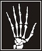 Vector clipart: hand X-ray snapshot