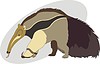 Vector clipart: ant-eater