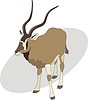 Vector clipart: antelope
