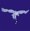 Vector clipart: constellation Aquila