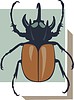 Vector clipart: beetle