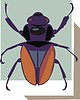 Vector clipart: beetle