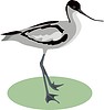 Vector clipart: bird