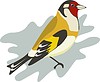 Vector clipart: bird