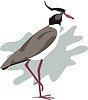 Vector clipart: bird