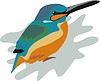 Vector clipart: bird