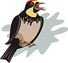 Vector clipart: bird