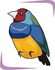 Vector clipart: bird