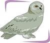 Vector clipart: owl