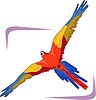 Vector clipart: bird