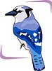 Vector clipart: bird