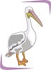 Векторный клипарт: пеликан