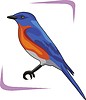 Vector clipart: bird