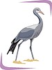 Vector clipart: bird