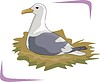 Vector clipart: gull