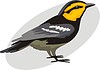 Vector clipart: bird