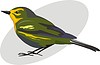 Vector clipart: bird