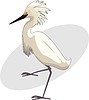 Vector clipart: bird