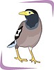 Vector clipart: bird