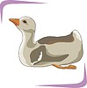 Vector clipart: bird