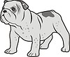 Vector clipart: bulldog