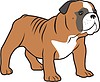 Vector clipart: bulldog