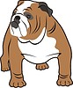 Vector clipart: bulldog