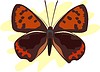 Vector clipart: butterfly