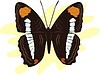 Vector clipart: butterfly