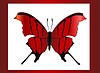 Vector clipart: butterfly