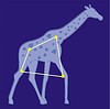 Vector clipart: constellation Camelopardalis