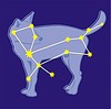 Vector clipart: constellation Canis Major