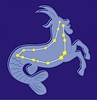 Vector clipart: constellation Capricorn