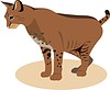 Vector clipart: wild cat