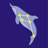 Vektor Cliparts: Sternbild Delphin