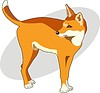 Vector clipart: dingo