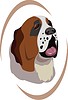 Vector clipart: St. Bernard dog