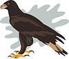 Vector clipart: eagle