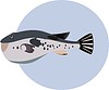 Vector clipart: fish