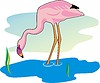 flamingo