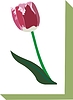 Vector clipart: tulip